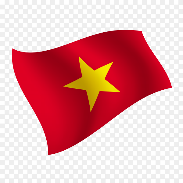 Vietnam Flag